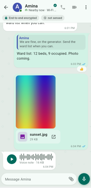 A one-to-one thread on a phone: a quoted reply with a thumbs-up reaction, a photo, and a voice note with blue double ticks.
